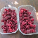 raspberries august
