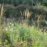 view potting shed 1