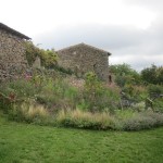 looking towards stipa bed