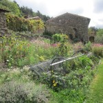 potager mid sept