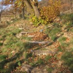 leaf raking