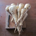 mighty parsnips