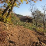 shade area cleared to calabert