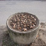 village planter