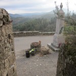 village planter view