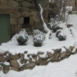 box balls in snow