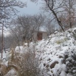 potting shed in snow