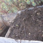 compost turned