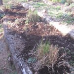 mulching terrace