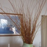 willow in vase