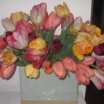 andrew tulip