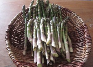 april asparagus