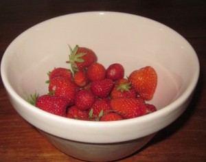 first strawberry