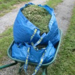 grass mulch