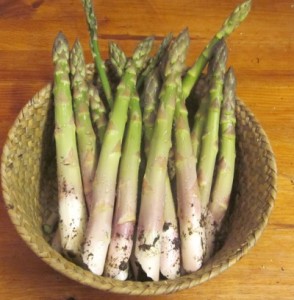 sunday asparagus (1)