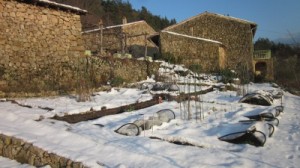 potager snow