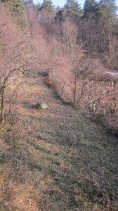 strimmed terraces