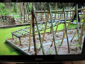 potager structures