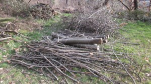 stick sorting