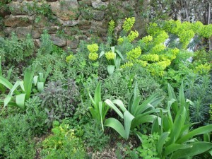 herb garden may