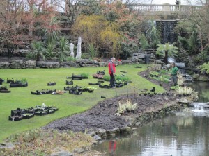 planting up