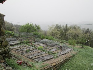 potager april snow