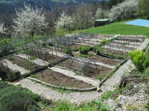 view of potager from herb garden