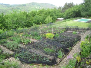 potager filling