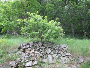 oak on wall