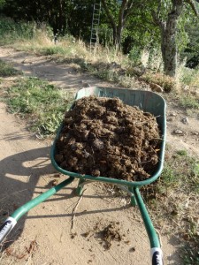 manure collecting