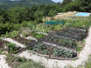 potager weeding