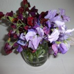 sweet peas