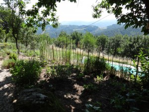 shade fence 1