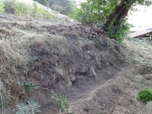 shade garden wall