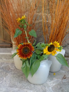 sunflowers at front door