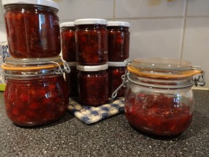 cranberry chutney finished