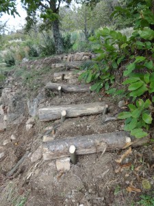 steps up to hedge