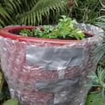 red pots protected