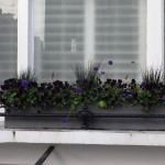 chic window box