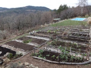 composting