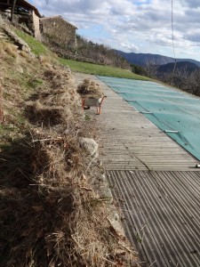 clearing the wildflower meadow