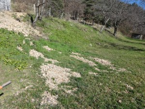 rubble field