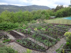 crop planting