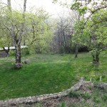 mown piano and duck pond