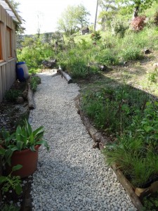 new potting shed path
