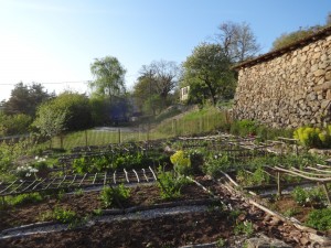 potager april