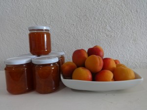 apricot jam