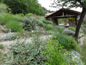 barn garden view