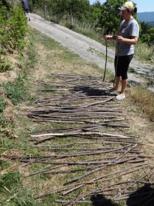 laying the sticks