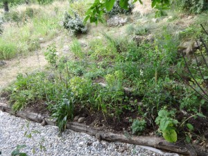 potting shed terrace bank